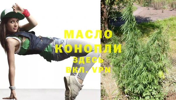 молекула духа Краснослободск