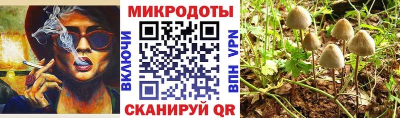 Галлюциногенные грибы мицелий  Купить закладки  Беломорск 